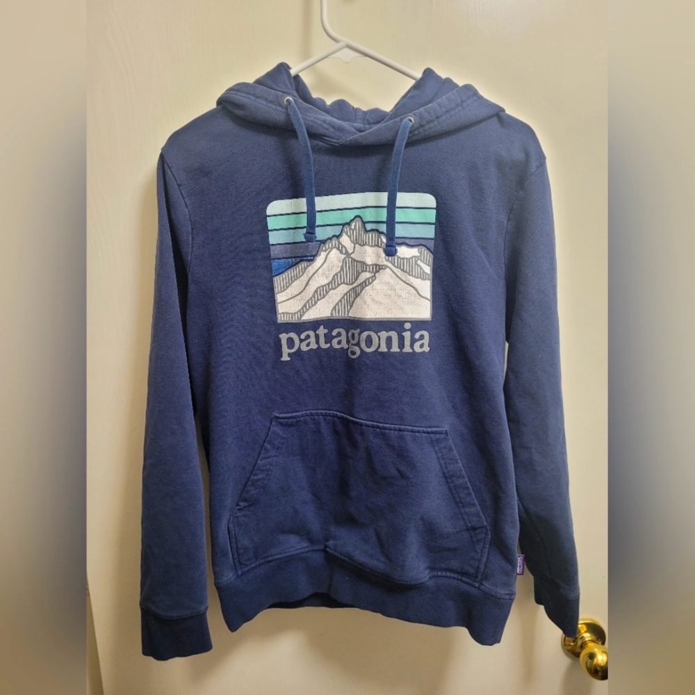 Patagonia Blue Hoodie with Mountain Graphic